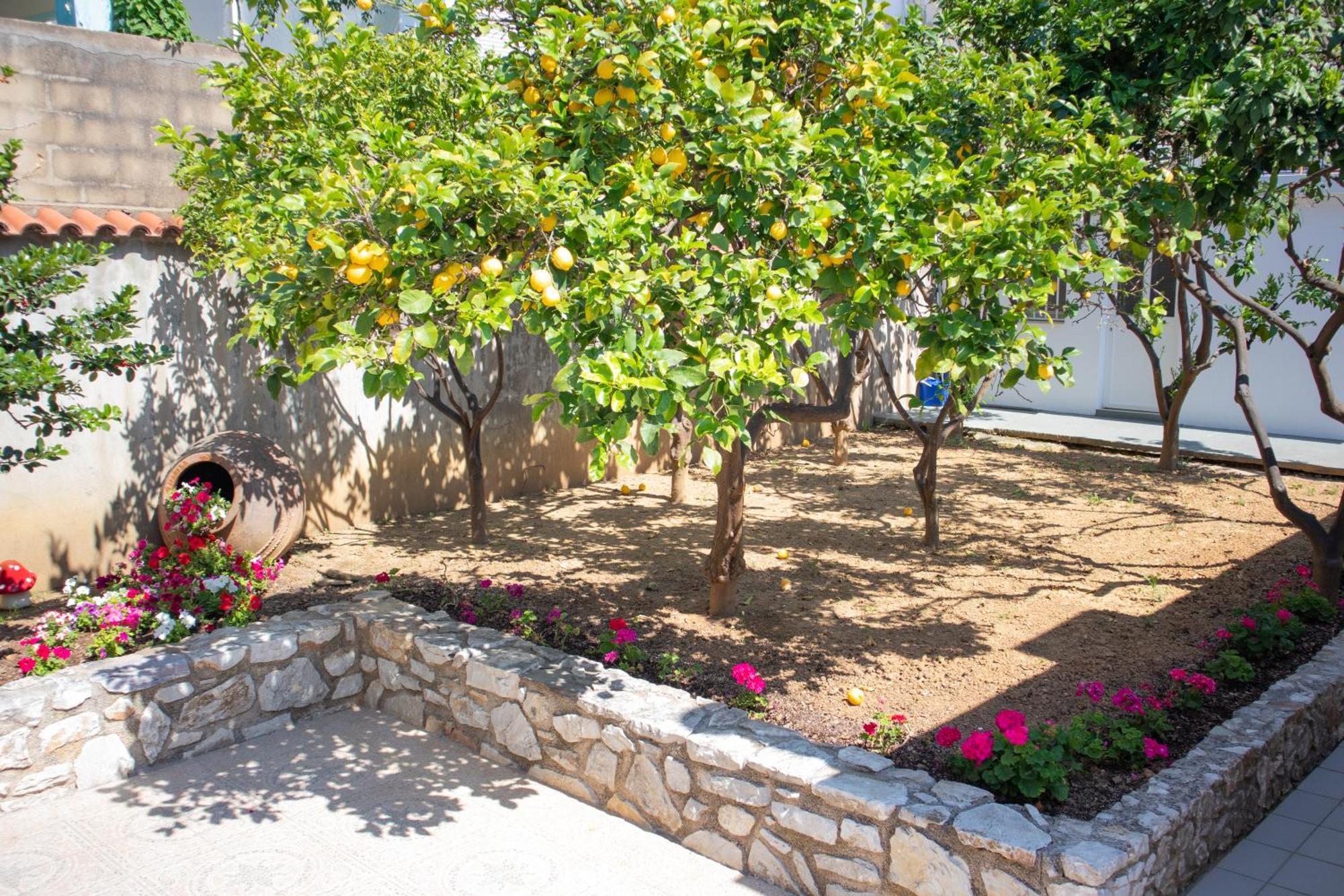 Athanasia Apartments Città di Skiathos Esterno foto